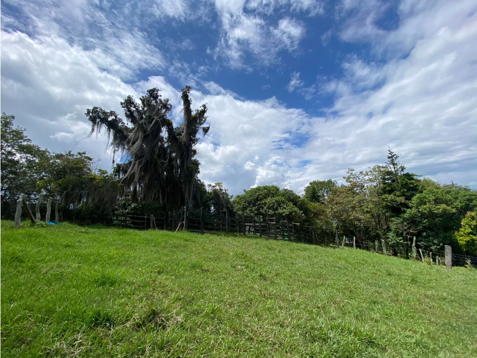 VENTA DE FINCA VEREDA NOVILLERO MONIQUIRA - 2
