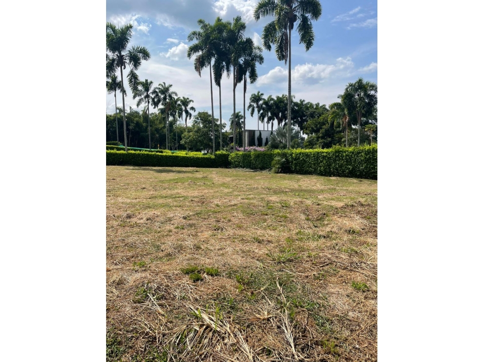 VENTA LOTE CERRITOS