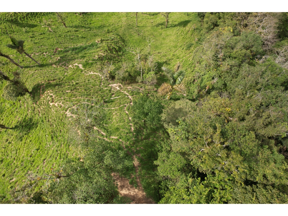 VENTA FINCA SECTOR LA TAGUA SANTA MARTA H.I