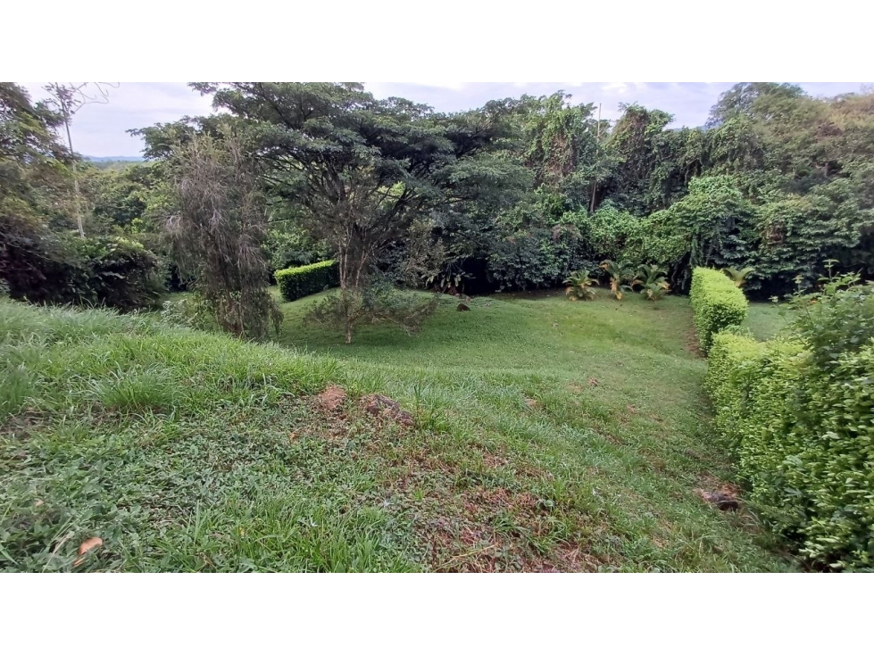 LOTE CERRITOS PEREIRA