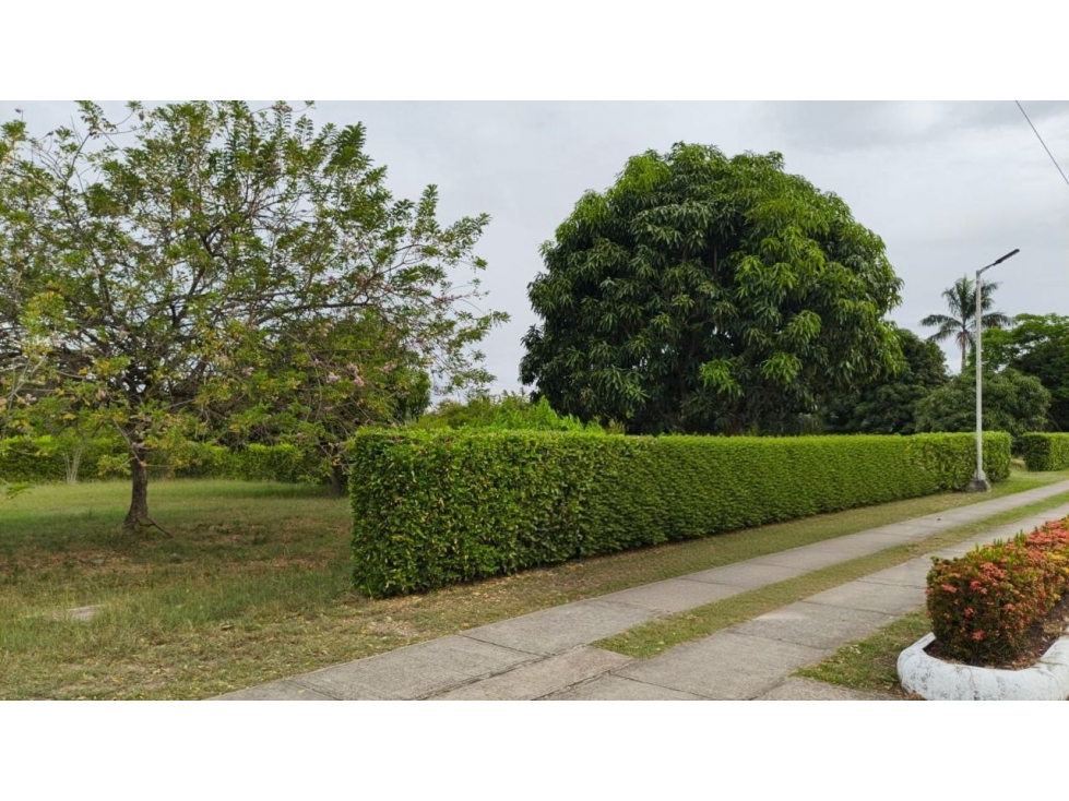 VENTA LOTE DE 1200 METROS CUADRADOS, PARA LA CASA DE TUS SUEÑOS