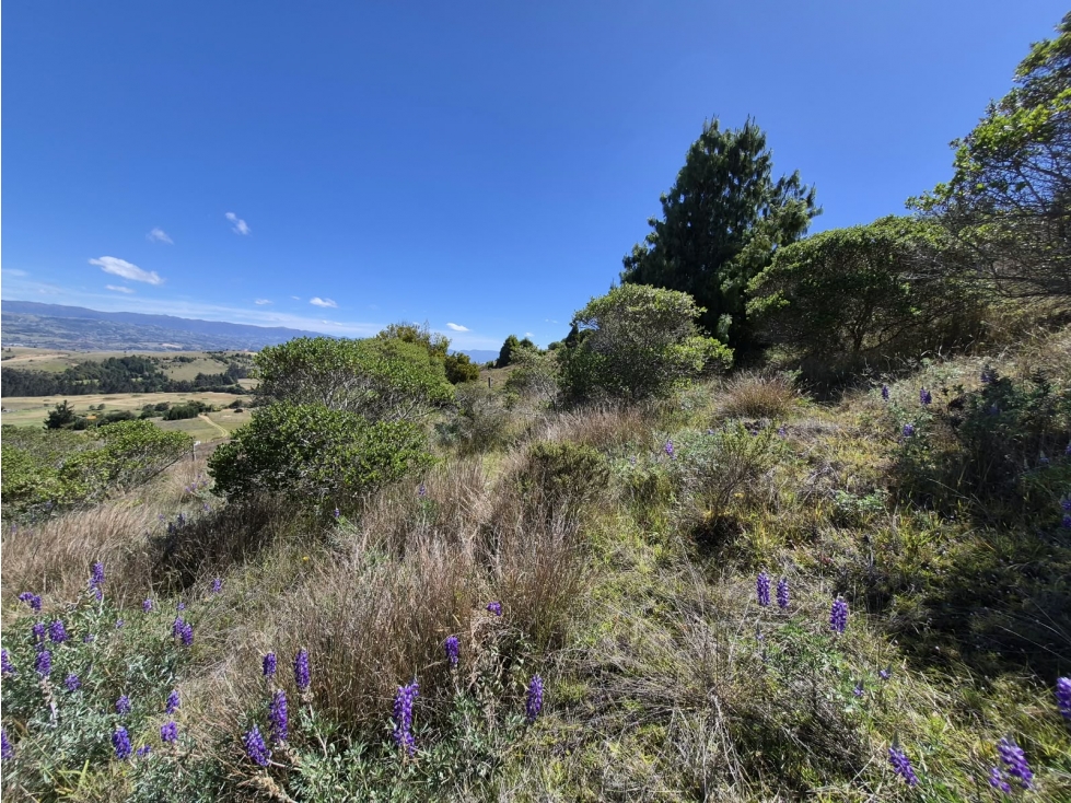 VENTA DE LOTE A OCHO MINUTOS DE CHIVATA - 2
