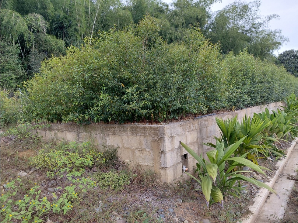 VENTA DE LOTE: TU PARAISO CAMPESTRE EN GUADUALES DE ACAPULCO" - 6