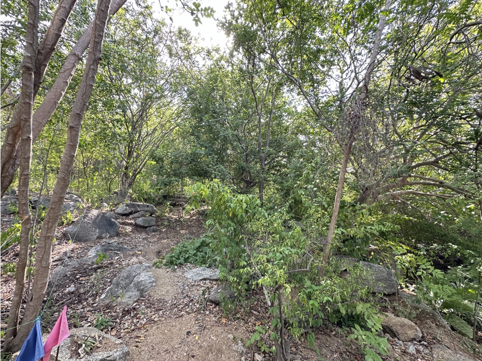 VENTA DE LOTE VEREDA EL LIMON RURAL 2000M2