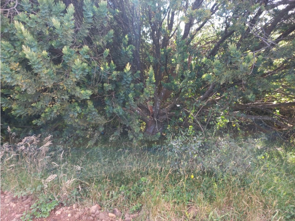 VENTA DE LOTE EN CHIVATÁ - BOYACA - 4