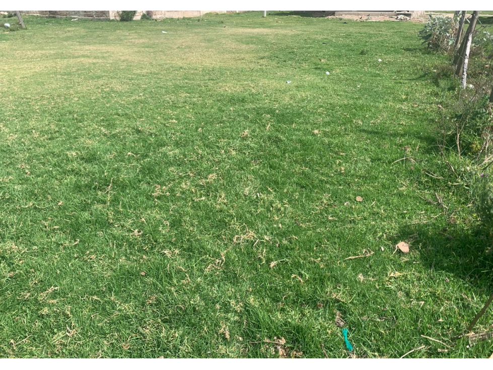 VENTA DE LOTE A POCAS CUADRAS UPTC SOGAMOSO - 4