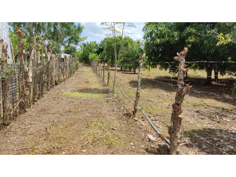 VENTA- LOTE TERRENO-GARZONES -MONTERIA — foto 4