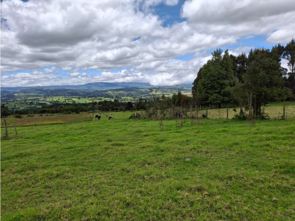 VENTA DE LOTE VEREDA EL CARMEN COMBITA BOYACA - 5
