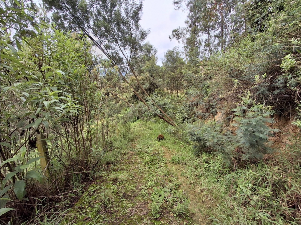 VENTA DE LOTE VEREDA VOLADOR JENESANO - 5
