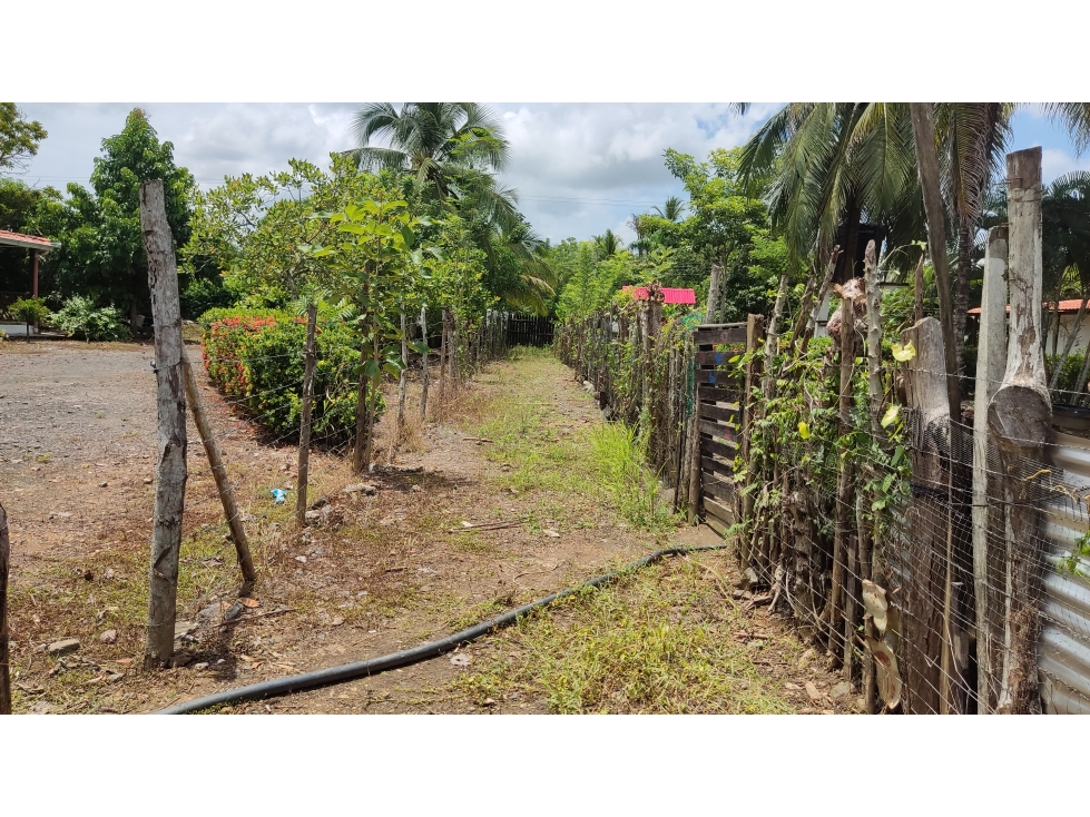 VENTA- LOTE TERRENO-GARZONES -MONTERIA — foto 3