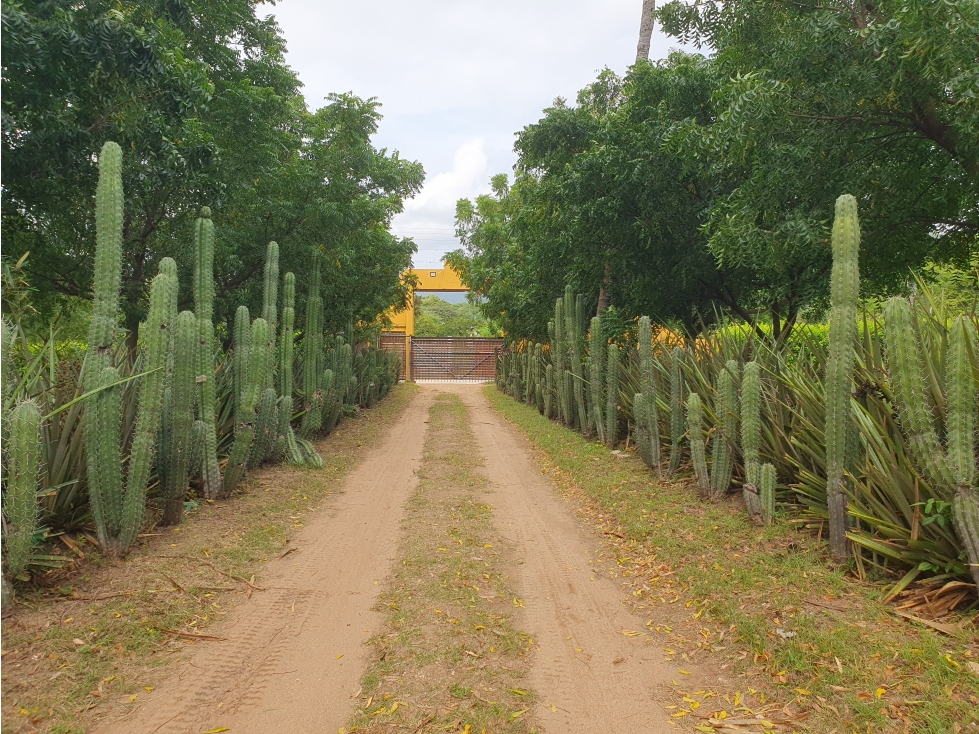 VENTA HACIENDA TURISMO EN SANTA MARTA SECTOR NEGUANJE - H.I — foto 2