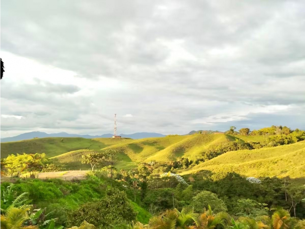 VENTA CASA CAMPESTRE VIA ARMENIA — foto 2