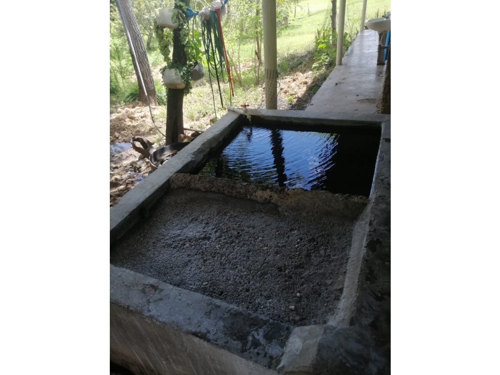 VENTA DE FINCA VEREDA PALMA ALTA TOLIMA - 6