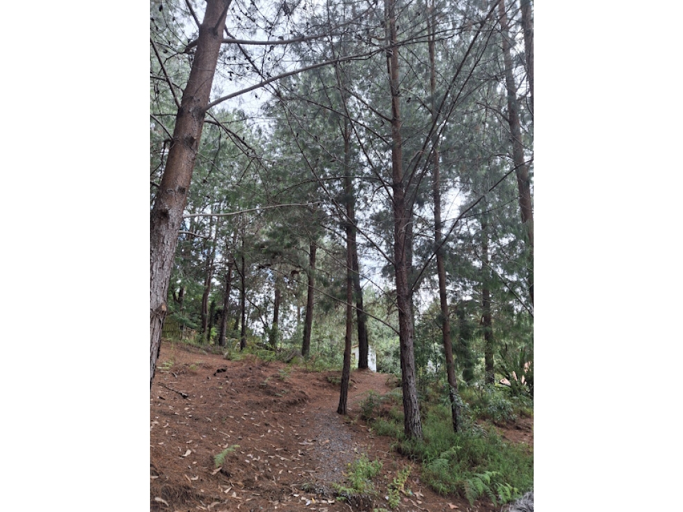 VENTA VILLA DE LEYVA EXCLUSIVA CASA CAMPESTRE — foto 6