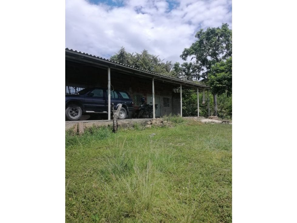 VENTA DE FINCA VEREDA PALMA ALTA TOLIMA - 4