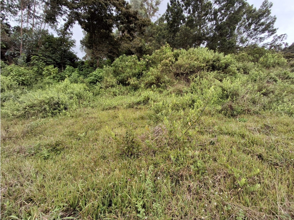 VENTA DE LOTE VEREDA VOLADOR JENESANO - 6
