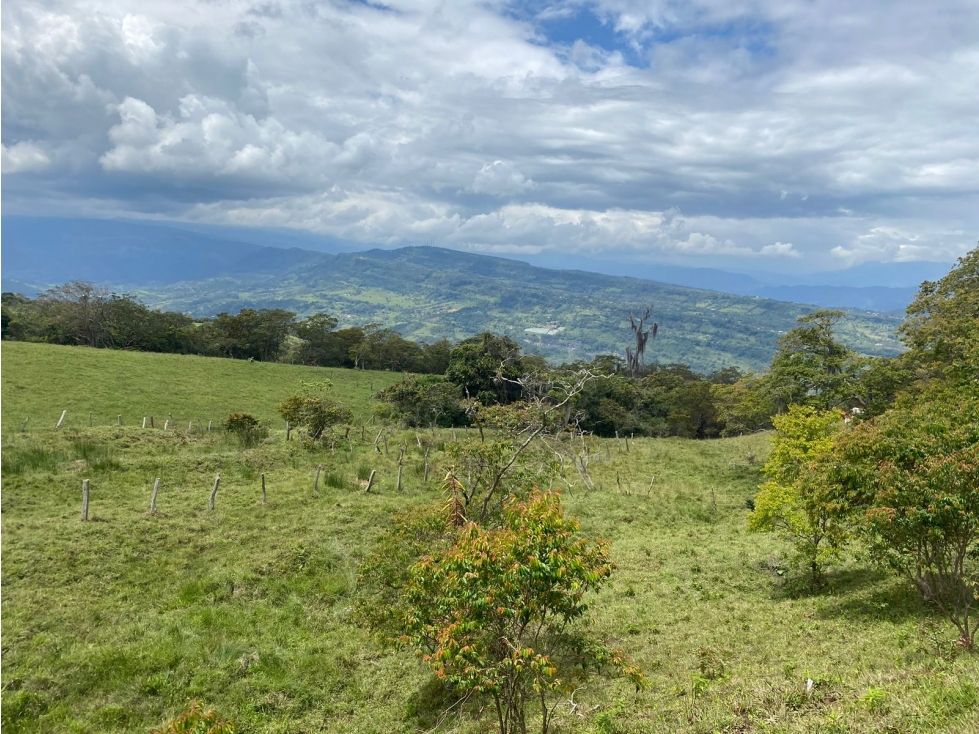 VENTA DE FINCA VEREDA NOVILLERO MONIQUIRA - 3