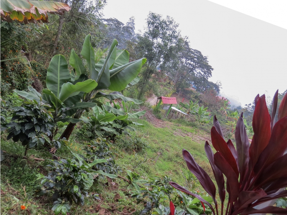 Venta Finca en silvania sector Azafranal - 3