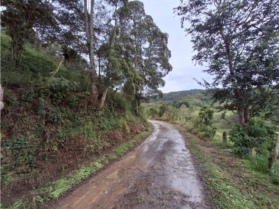 VENTA DE FINCA EN COLORADO BAJO MONIQUIRA - 2