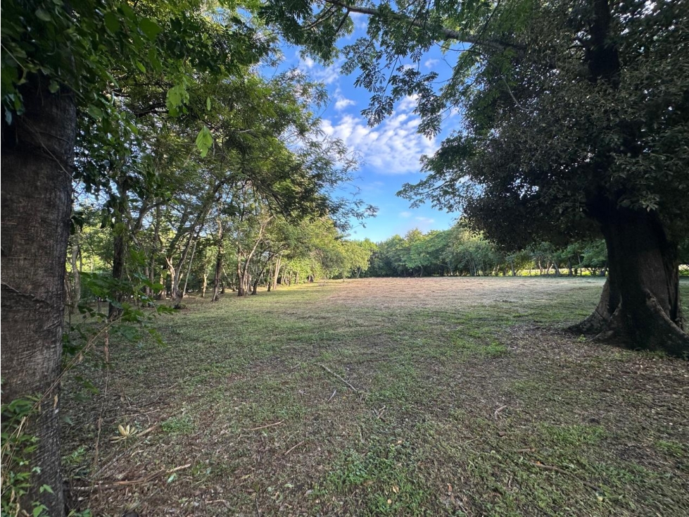 VENTA LOTE EN RESERVA ECOLOGICA EL PASO VIA GIRARDOT TOCAIMA - 2