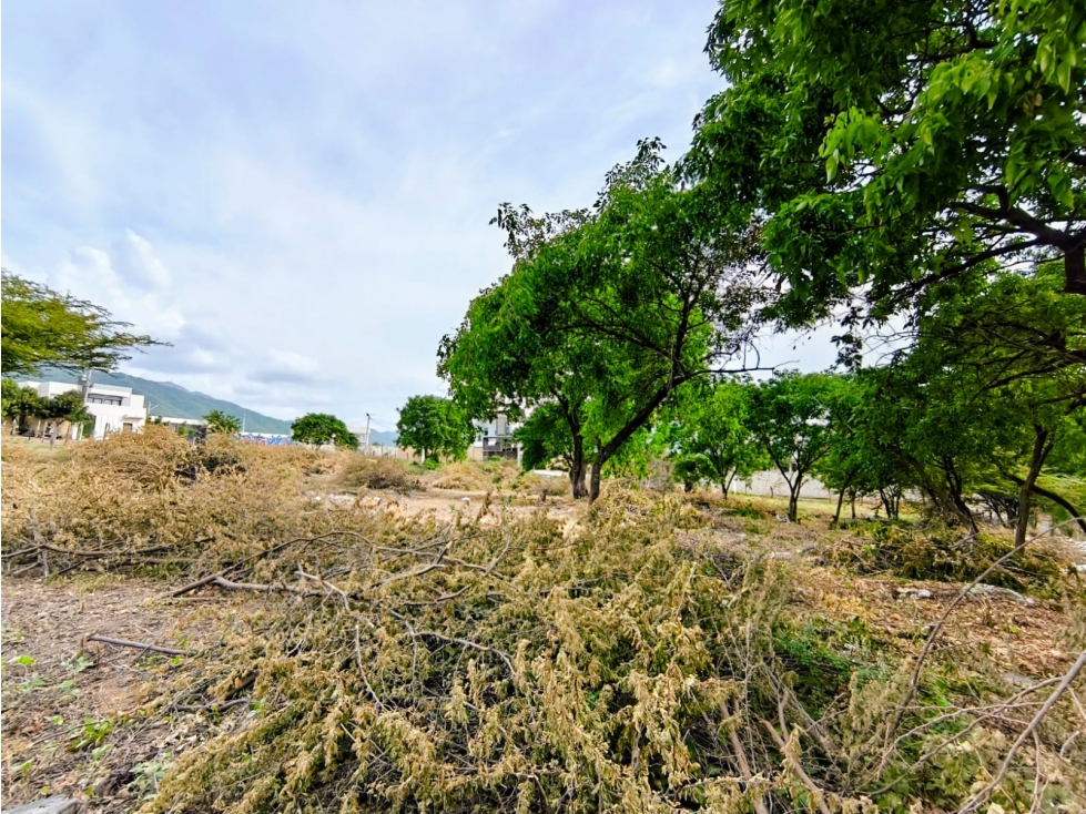 SE VENDE LOTE CERCA DE LA PLAYA BELLO HORIZONTE SANTA MARTA - J.V — foto 2