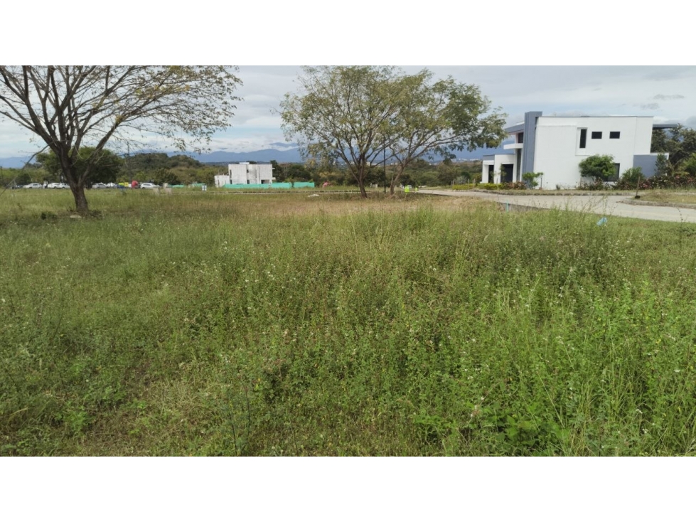 VENTA DE LOTE EN AMBORCO, PALERMO — foto 6