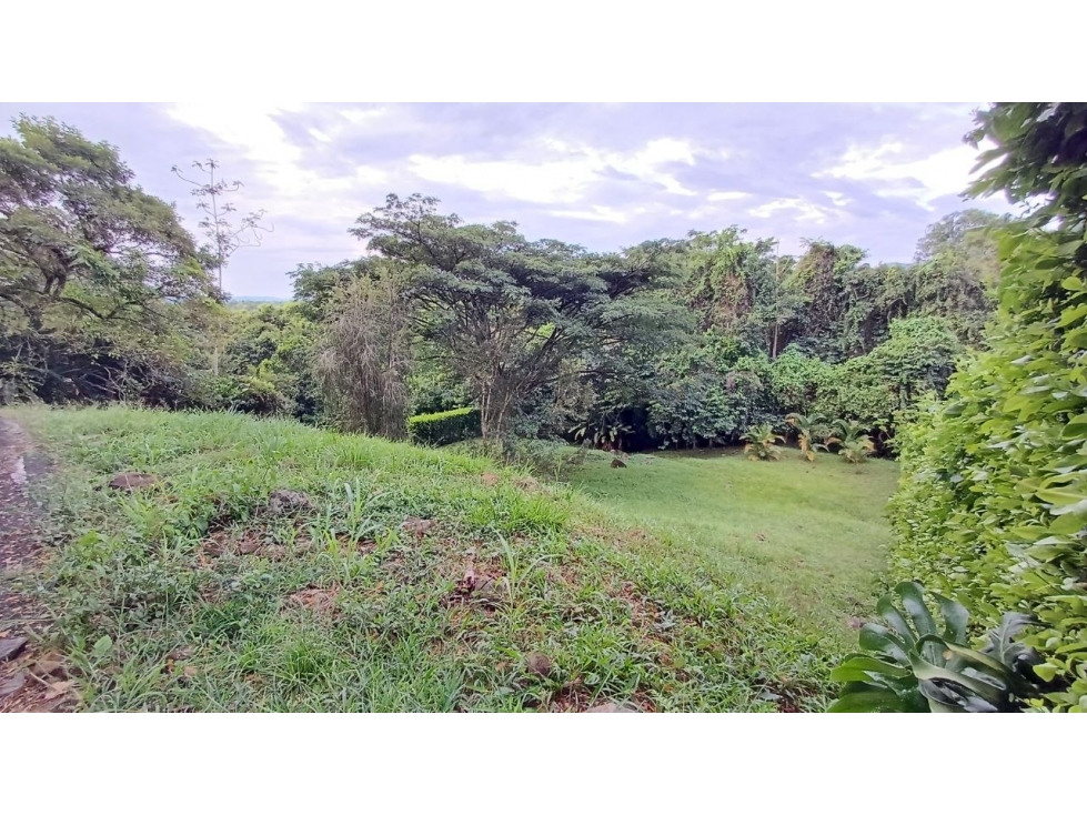 LOTE CERRITOS PEREIRA — foto 2