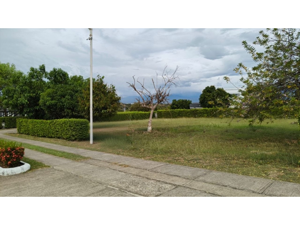 VENTA LOTE DE 1200 METROS CUADRADOS, PARA LA CASA DE TUS SUEÑOS — foto 2