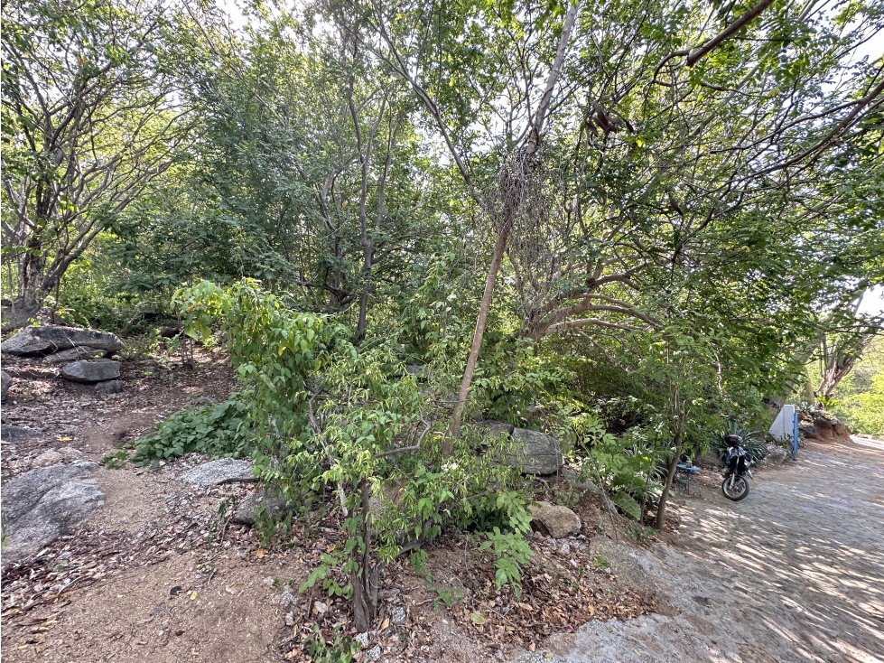 VENTA DE LOTE VEREDA EL LIMON RURAL 2000M2 — foto 2