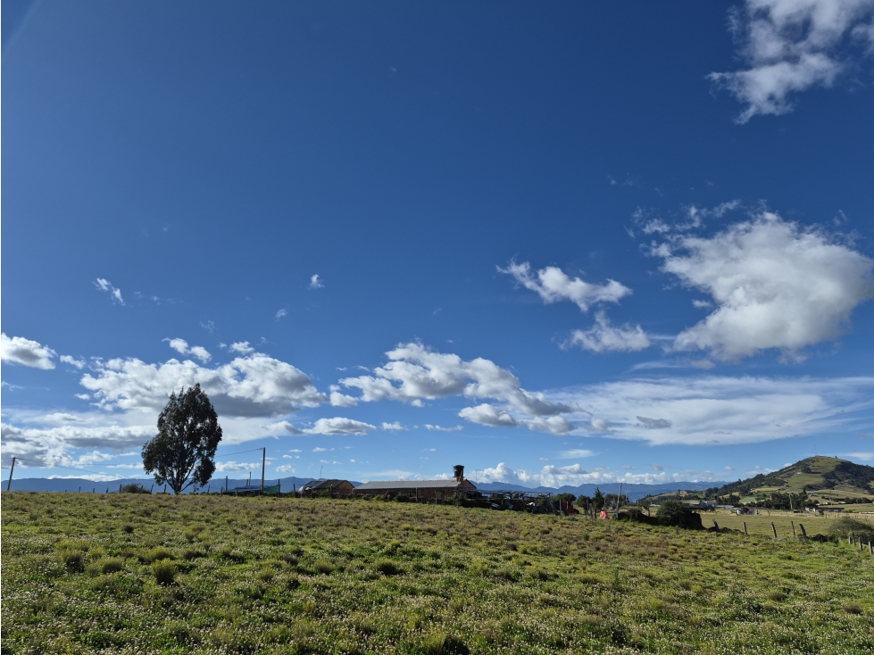 VENTA DE LOTE EN VEREDA SIATOCA SECTOR EL PINO CHIVATA - 3