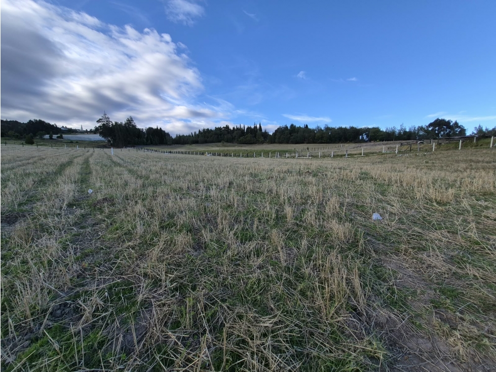VENTA DE LOTES EN LA VEREDA PORAVITA OICATA - 6