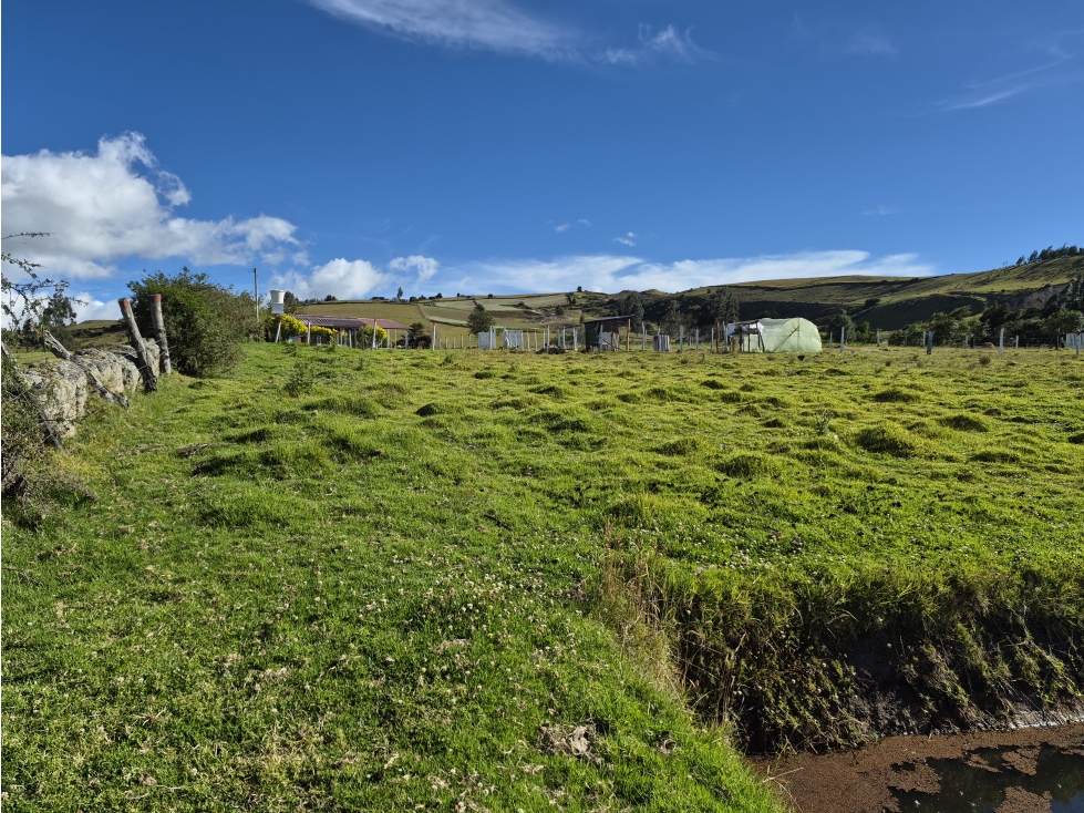 VENTA DE LOTE EN VEREDA SIATOCA SECTOR EL PINO CHIVATA - 4