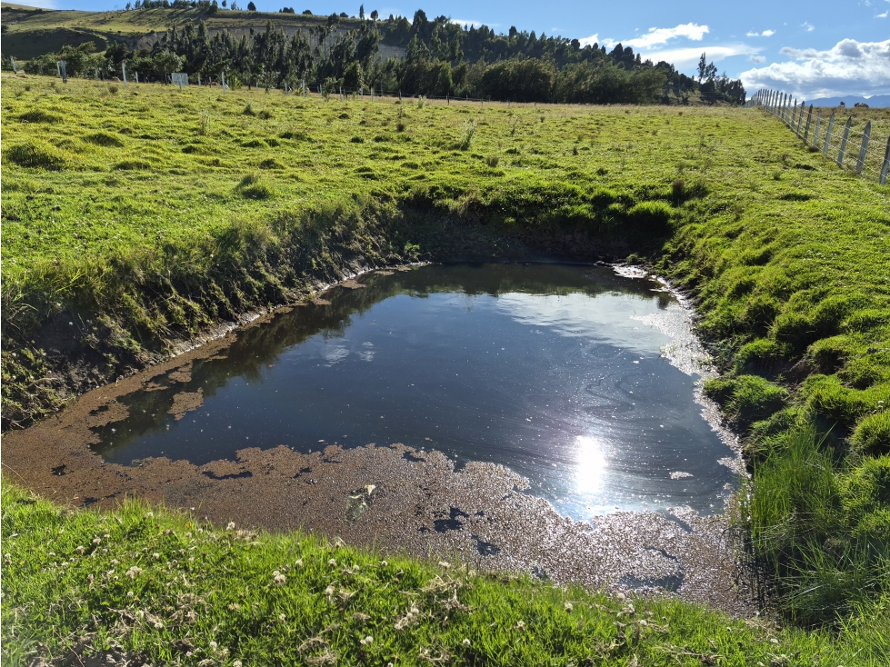 VENTA DE LOTE EN VEREDA SIATOCA SECTOR EL PINO CHIVATA - 5