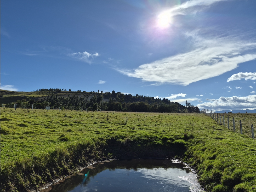VENTA DE LOTE EN VEREDA SIATOCA SECTOR EL PINO CHIVATA - 6