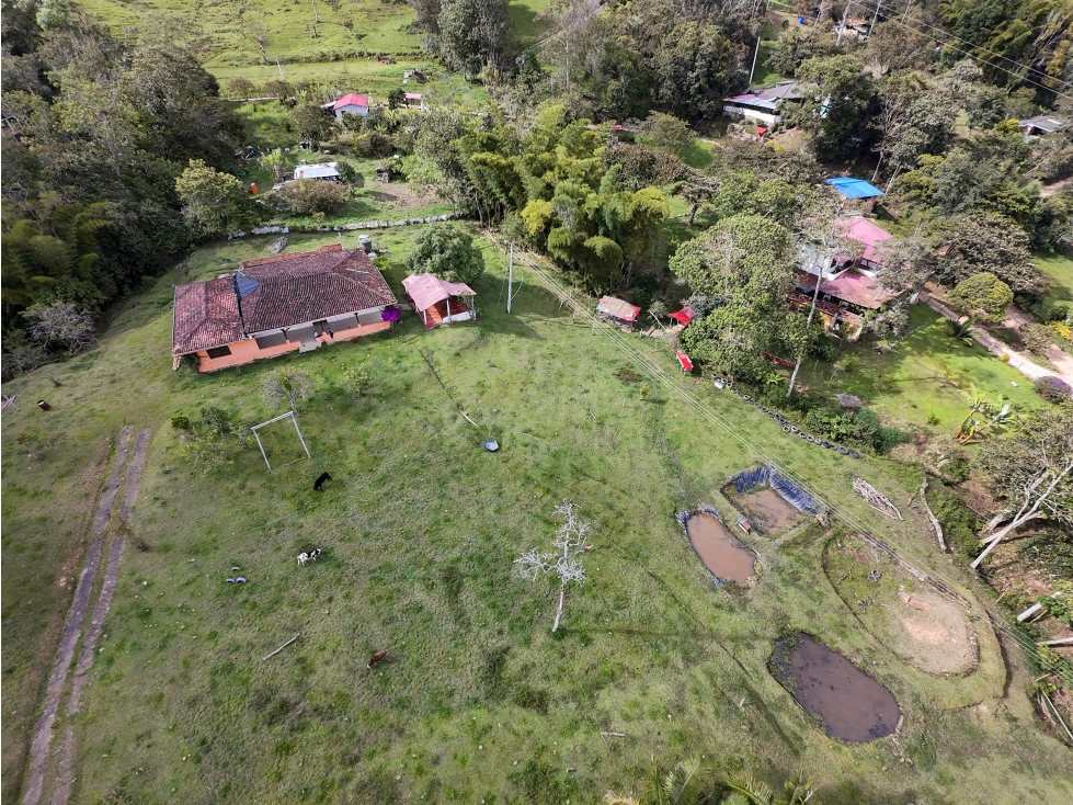 Venta Finca Yayata Silvania - 2