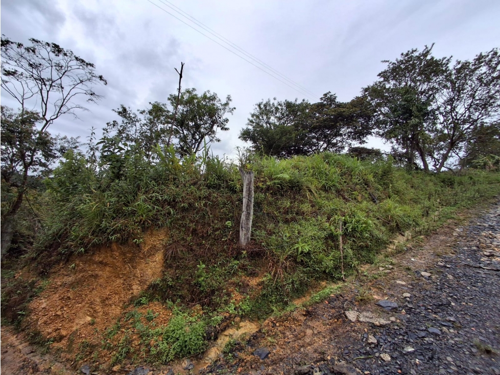 VENTA DE FINCA EN COLORADO BAJO MONIQUIRA - 5
