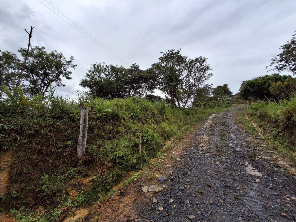 VENTA DE FINCA EN COLORADO BAJO MONIQUIRA - 6