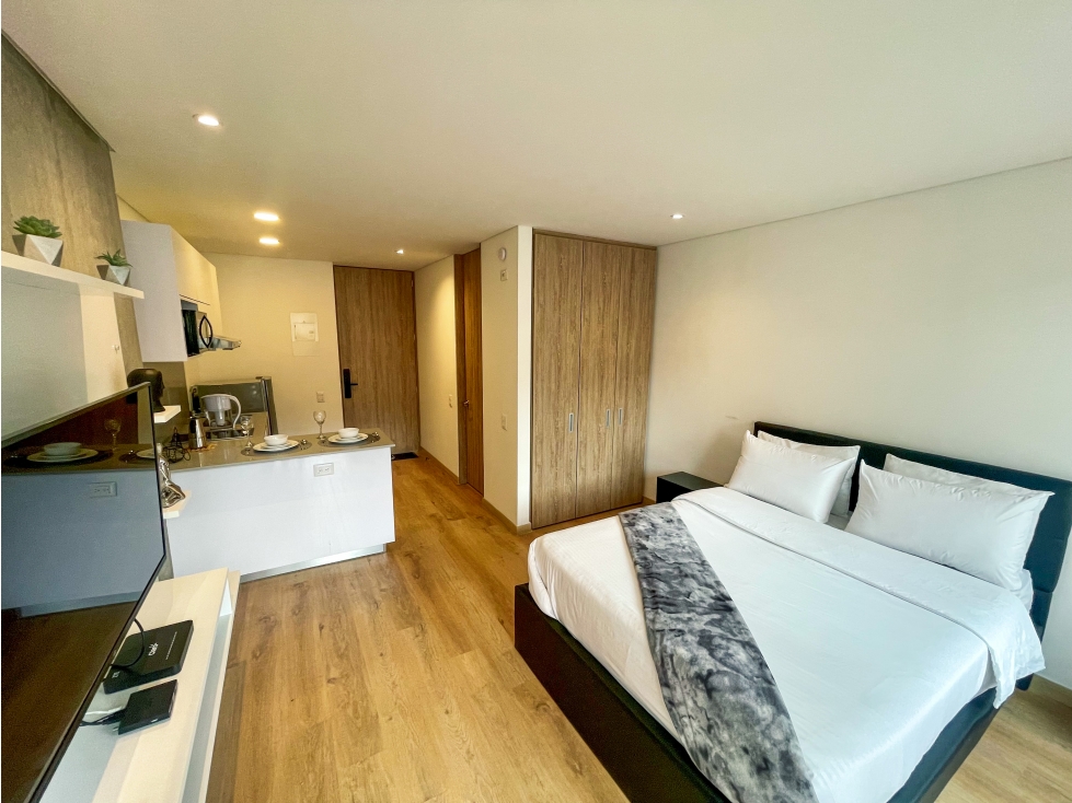 ARRIENDO APARTAESTUDIO TIPO LOF - 2