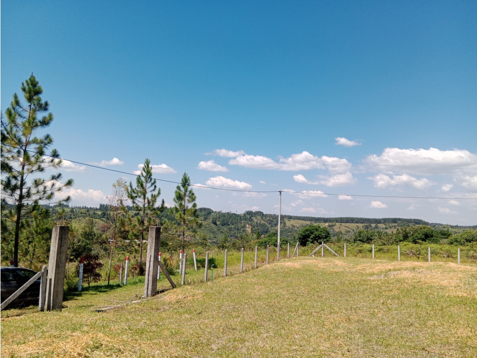 VENTA DE PARCELA EN LA REJOYA - 4