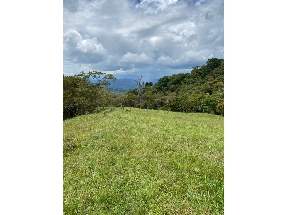 VENTA DE FINCA VEREDA NOVILLERO MONIQUIRA - 4