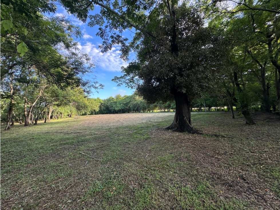 VENTA LOTE EN RESERVA ECOLOGICA EL PASO VIA GIRARDOT TOCAIMA - 3