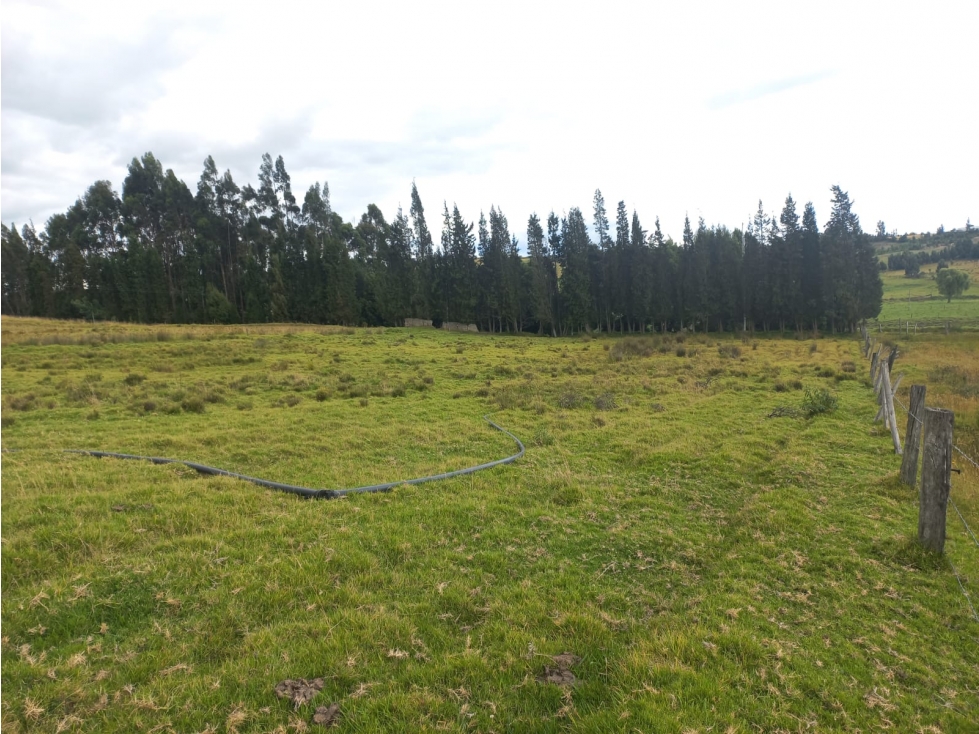 VENTA DE LOTES EN LA VEREDA PORAVITA OICATA - 6