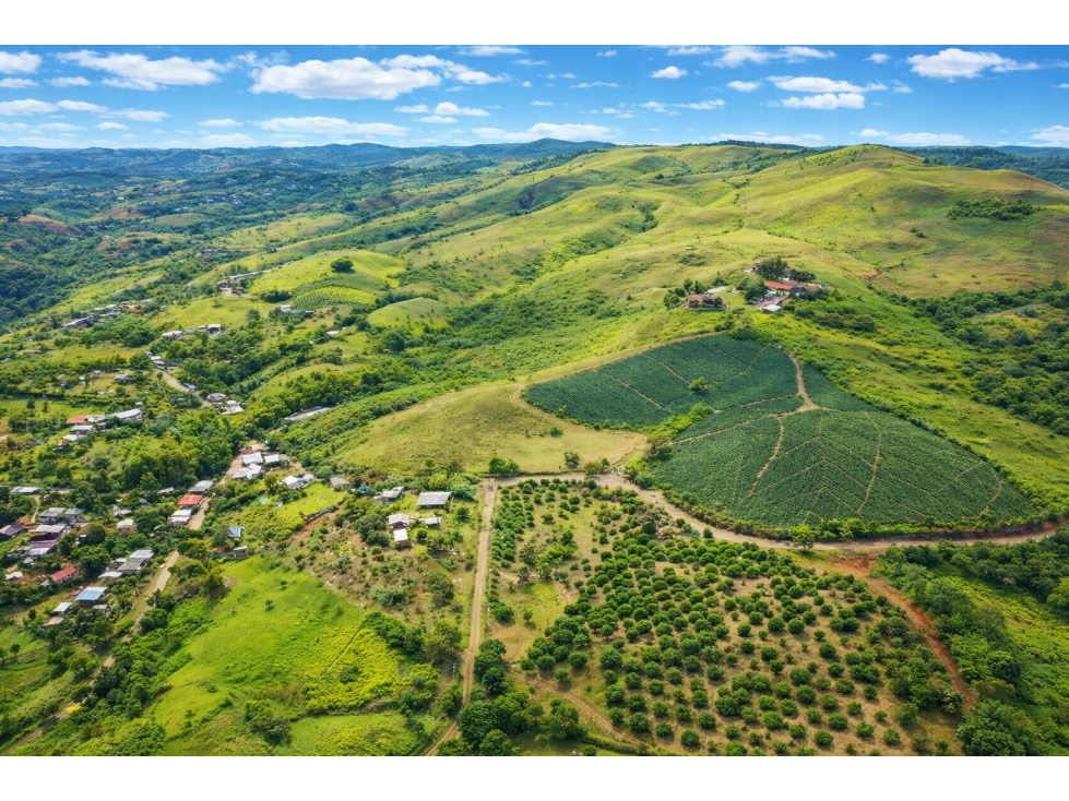 SE VENDE LOTE EN EL KM 34 VÍA CALI - QUEREMAL — foto 5