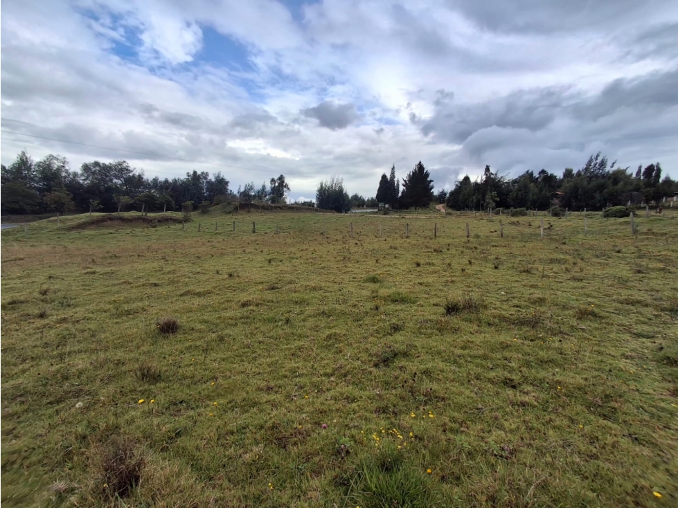 VENTA DE LOTE OICATA SOBRE LA DOBLE CALZADA PAIPA-TUNJA - 3