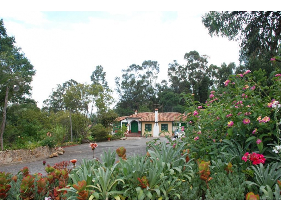 Venta Casa Finca Urbana (para urbanizar) — foto 6