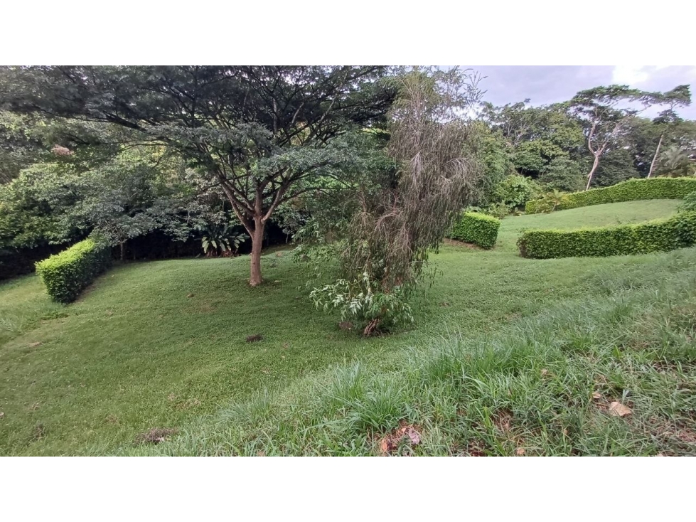 LOTE CERRITOS PEREIRA — foto 3