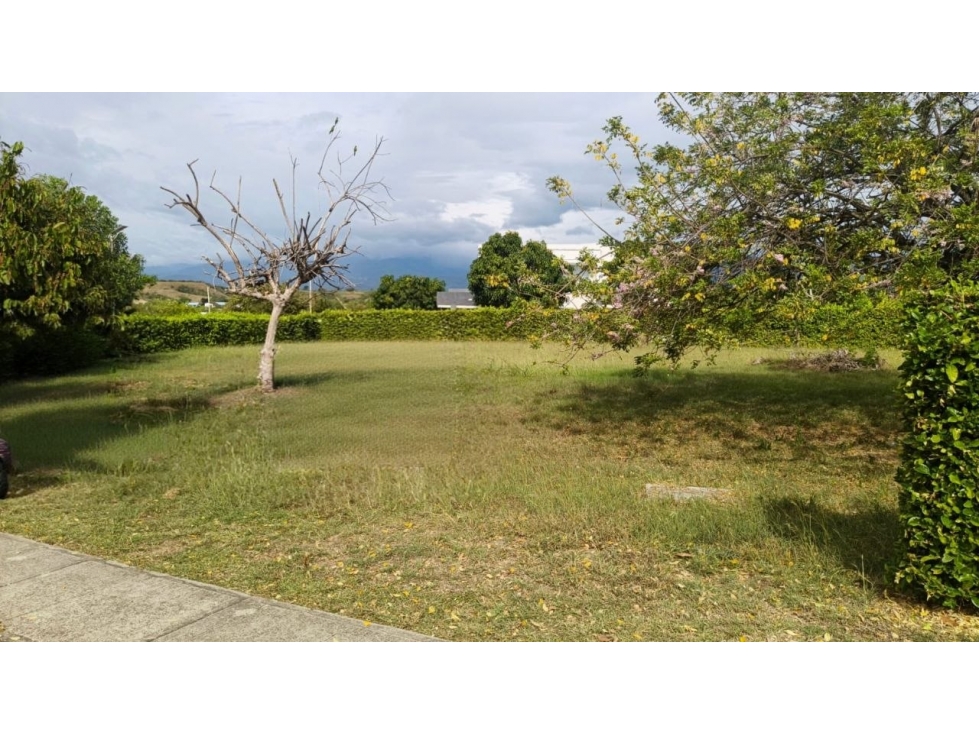 VENTA LOTE DE 1200 METROS CUADRADOS, PARA LA CASA DE TUS SUEÑOS — foto 3