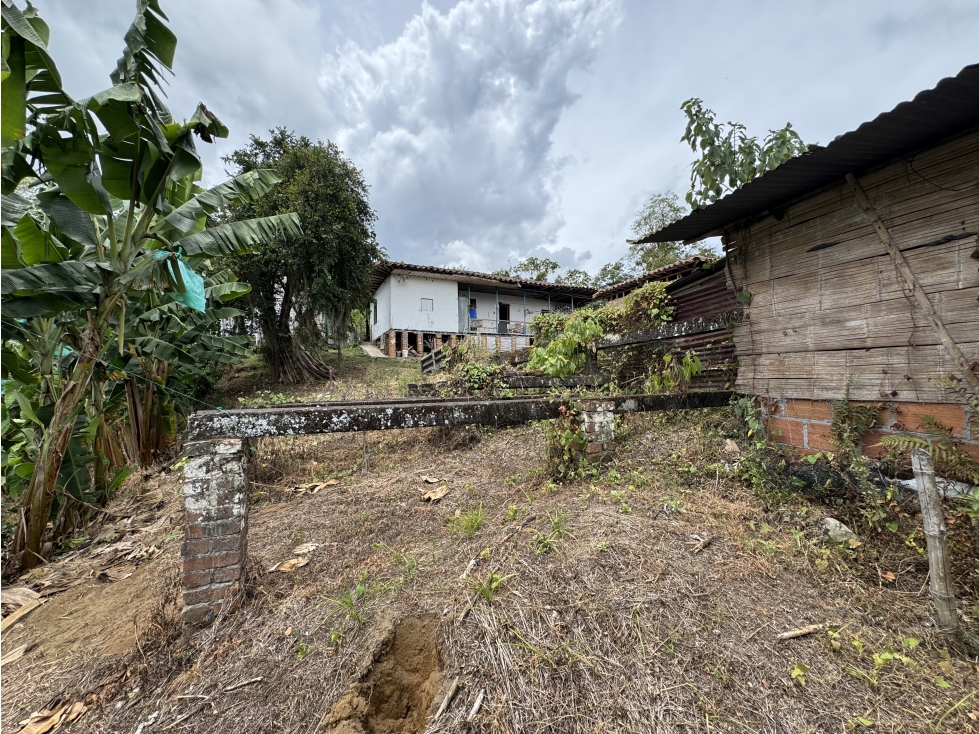 VENTA FINCA CAFETERA VÍA MARSELLA, RISARALDA - 3