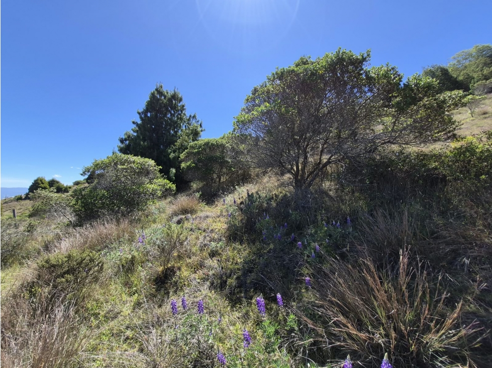 VENTA DE LOTE A OCHO MINUTOS DE CHIVATA - 3
