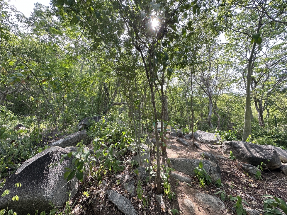 VENTA DE LOTE VEREDA EL LIMON RURAL 2000M2 — foto 3